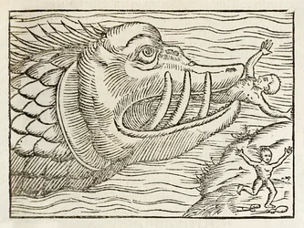 Monströser Wal, der Menschen verschlingt, aus der Ausgabe von 1550 der Cosmographia von Sebastian Münster